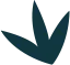 了解我们的每周赛程 - 蓝鲸直播
